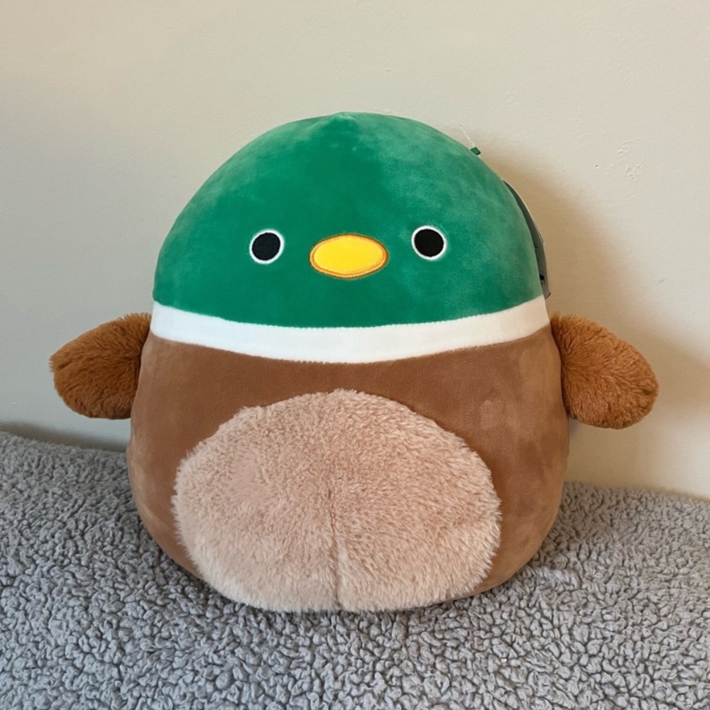 12” Fuzzy belly Avery squishmallow